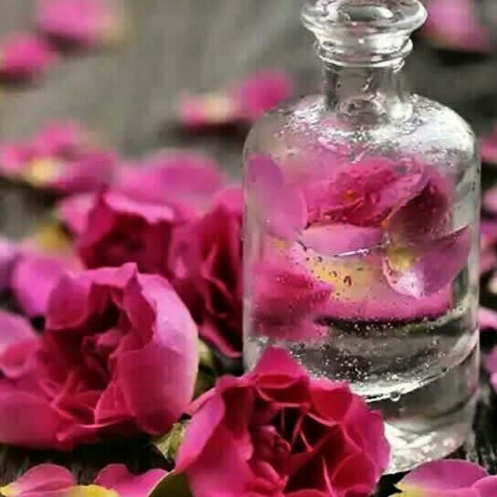 گلاب ارگانیک