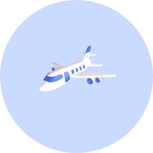 هواپیما و پرنده